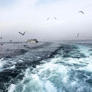 妖BBB搡BBBB揉BBBBB
